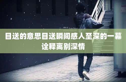 目送的意思目送瞬间感人至深的一幕诠释离别深情