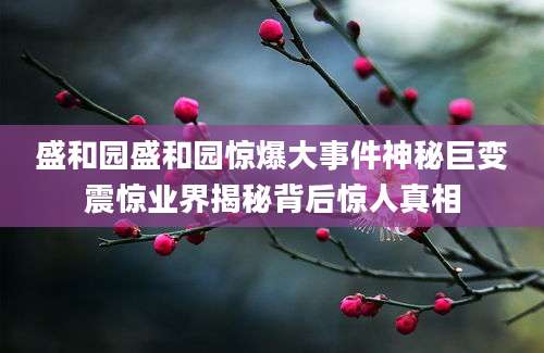 盛和园盛和园惊爆大事件神秘巨变震惊业界揭秘背后惊人真相