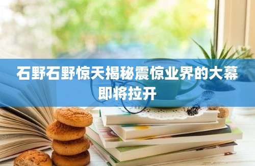 石野石野惊天揭秘震惊业界的大幕即将拉开