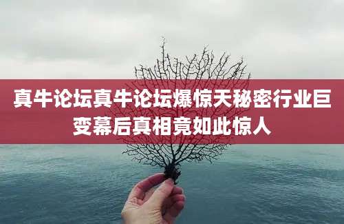 真牛论坛真牛论坛爆惊天秘密行业巨变幕后真相竟如此惊人