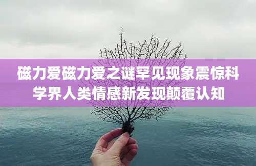 磁力爱磁力爱之谜罕见现象震惊科学界人类情感新发现颠覆认知