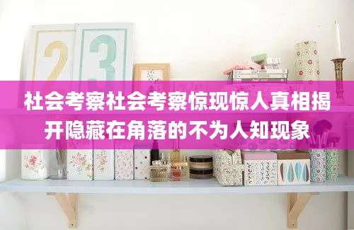 社会考察社会考察惊现惊人真相揭开隐藏在角落的不为人知现象
