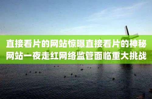 直接看片的网站惊曝直接看片的神秘网站一夜走红网络监管面临重大挑战