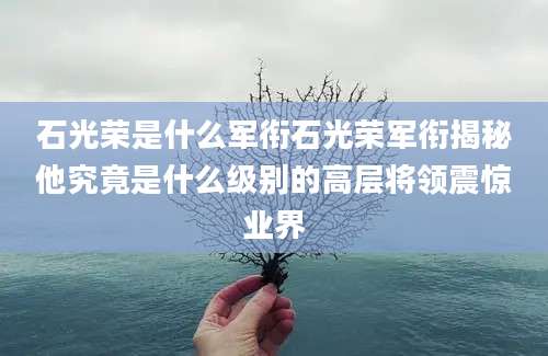 石光荣是什么军衔石光荣军衔揭秘他究竟是什么级别的高层将领震惊业界