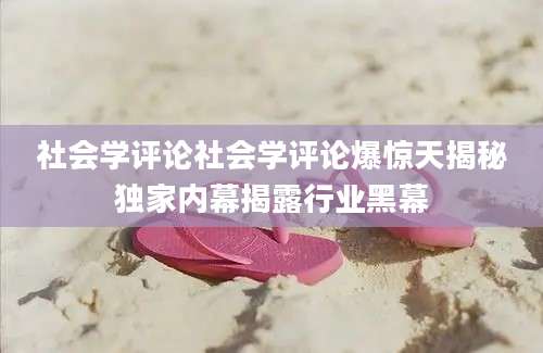 社会学评论社会学评论爆惊天揭秘独家内幕揭露行业黑幕