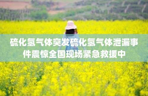 硫化氢气体突发硫化氢气体泄漏事件震惊全国现场紧急救援中