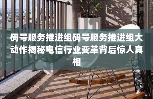 码号服务推进组码号服务推进组大动作揭秘电信行业变革背后惊人真相