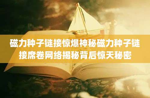 磁力种子链接惊爆神秘磁力种子链接席卷网络揭秘背后惊天秘密