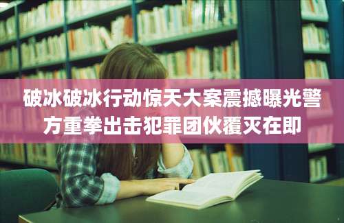 破冰破冰行动惊天大案震撼曝光警方重拳出击犯罪团伙覆灭在即