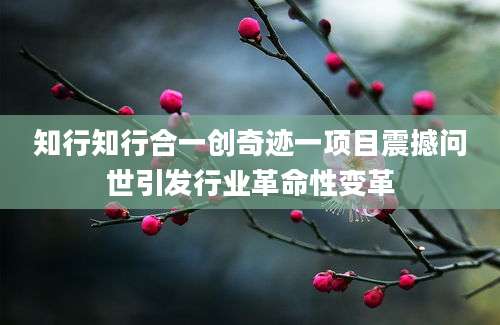 知行知行合一创奇迹一项目震撼问世引发行业革命性变革