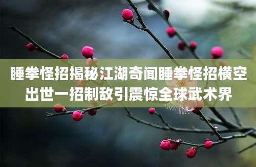 睡拳怪招揭秘江湖奇闻睡拳怪招横空出世一招制敌引震惊全球武术界