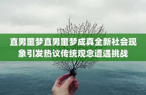 直男噩梦直男噩梦成真全新社会现象引发热议传统观念遭遇挑战