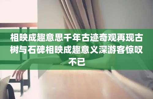 相映成趣意思千年古迹奇观再现古树与石碑相映成趣意义深游客惊叹不已