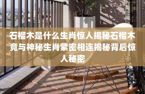 石榴木是什么生肖惊人揭秘石榴木竟与神秘生肖紧密相连揭秘背后惊人秘密