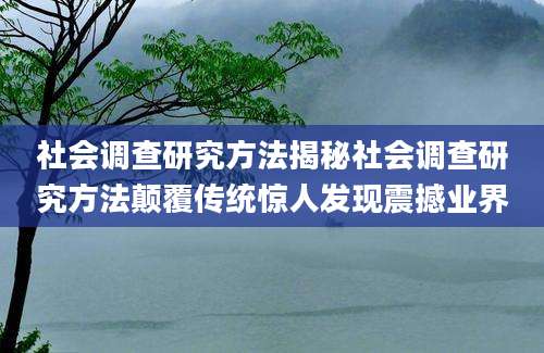 社会调查研究方法揭秘社会调查研究方法颠覆传统惊人发现震撼业界