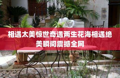 相遇太美惊世奇遇两生花海相遇绝美瞬间震撼全网