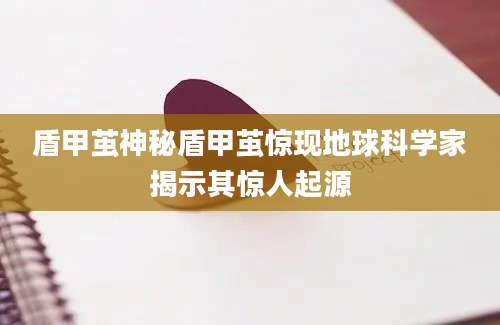 盾甲茧神秘盾甲茧惊现地球科学家揭示其惊人起源