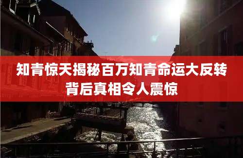 知青惊天揭秘百万知青命运大反转背后真相令人震惊