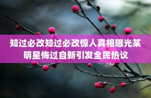 知过必改知过必改惊人真相曝光某明星悔过自新引发全民热议