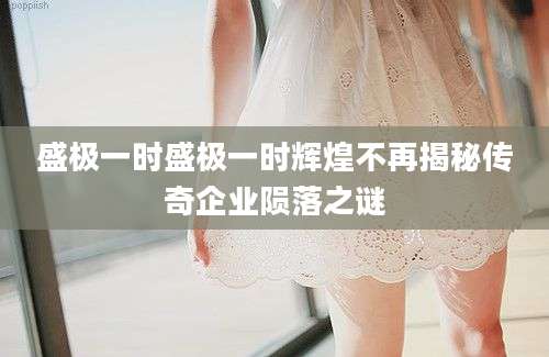 盛极一时盛极一时辉煌不再揭秘传奇企业陨落之谜