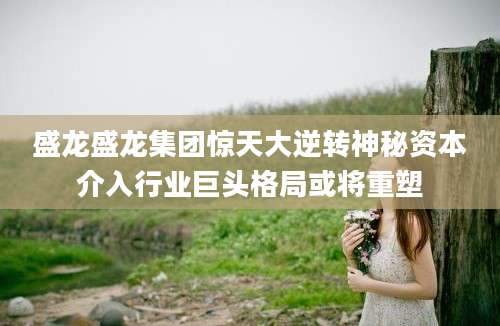 盛龙盛龙集团惊天大逆转神秘资本介入行业巨头格局或将重塑