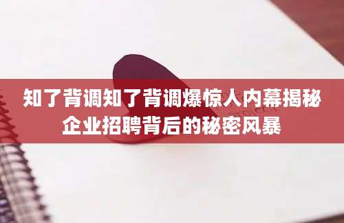 知了背调知了背调爆惊人内幕揭秘企业招聘背后的秘密风暴
