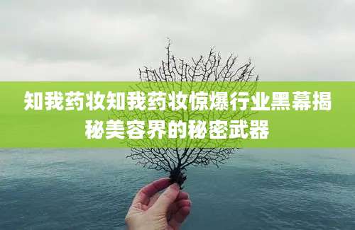 知我药妆知我药妆惊爆行业黑幕揭秘美容界的秘密武器