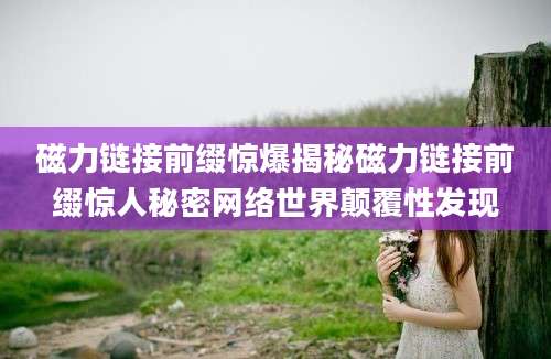 磁力链接前缀惊爆揭秘磁力链接前缀惊人秘密网络世界颠覆性发现
