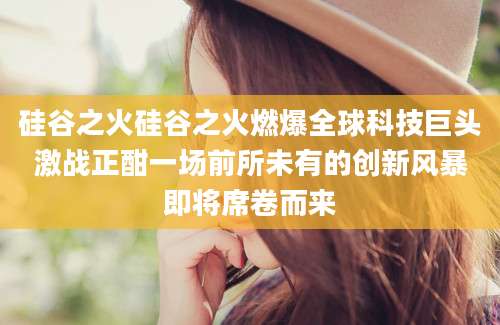 硅谷之火硅谷之火燃爆全球科技巨头激战正酣一场前所未有的创新风暴即将席卷而来