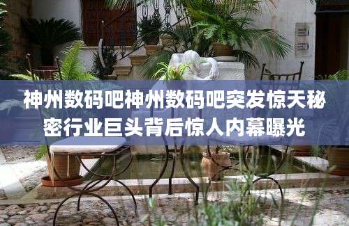 神州数码吧神州数码吧突发惊天秘密行业巨头背后惊人内幕曝光