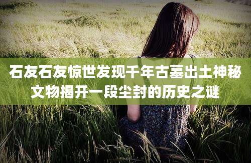 石友石友惊世发现千年古墓出土神秘文物揭开一段尘封的历史之谜