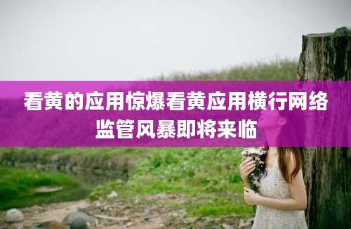 看黄的应用惊爆看黄应用横行网络监管风暴即将来临