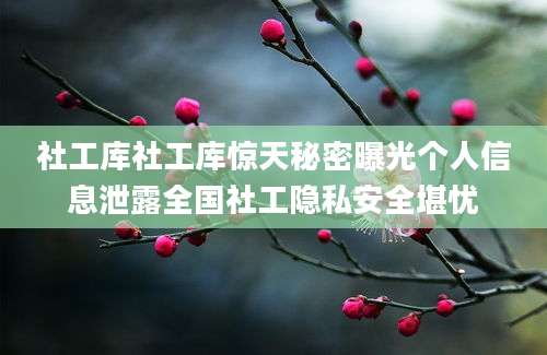 社工库社工库惊天秘密曝光个人信息泄露全国社工隐私安全堪忧