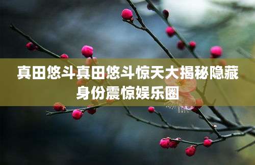 真田悠斗真田悠斗惊天大揭秘隐藏身份震惊娱乐圈