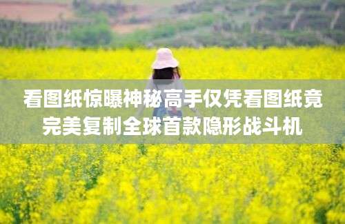 看图纸惊曝神秘高手仅凭看图纸竟完美复制全球首款隐形战斗机