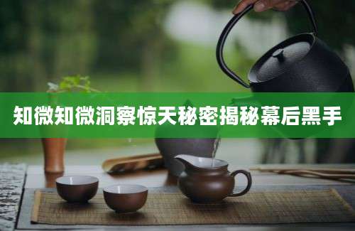 知微知微洞察惊天秘密揭秘幕后黑手