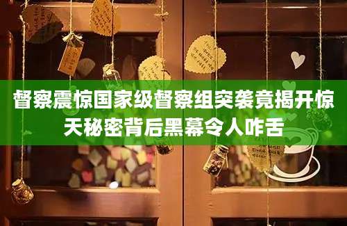 督察震惊国家级督察组突袭竟揭开惊天秘密背后黑幕令人咋舌