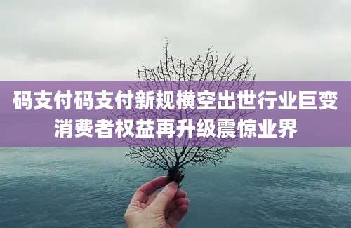 码支付码支付新规横空出世行业巨变消费者权益再升级震惊业界