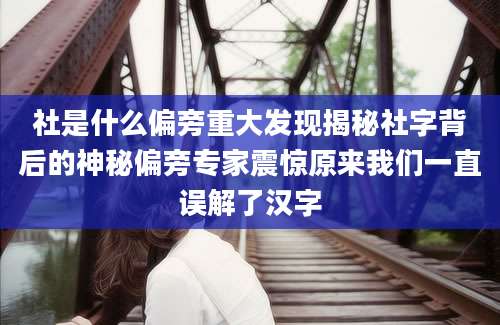 社是什么偏旁重大发现揭秘社字背后的神秘偏旁专家震惊原来我们一直误解了汉字