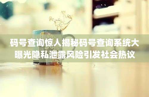 码号查询惊人揭秘码号查询系统大曝光隐私泄露风险引发社会热议