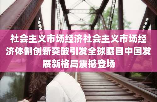 社会主义市场经济社会主义市场经济体制创新突破引发全球瞩目中国发展新格局震撼登场