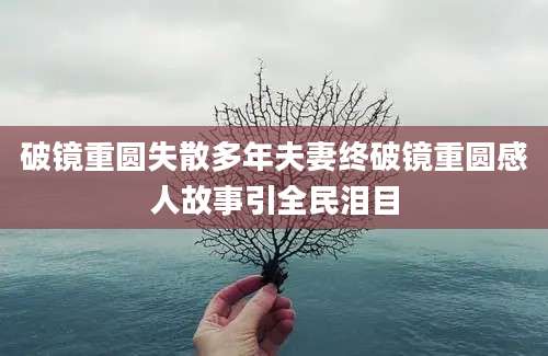 破镜重圆失散多年夫妻终破镜重圆感人故事引全民泪目