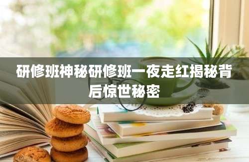 研修班神秘研修班一夜走红揭秘背后惊世秘密