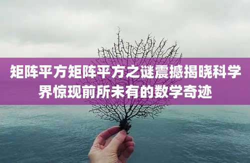 矩阵平方矩阵平方之谜震撼揭晓科学界惊现前所未有的数学奇迹