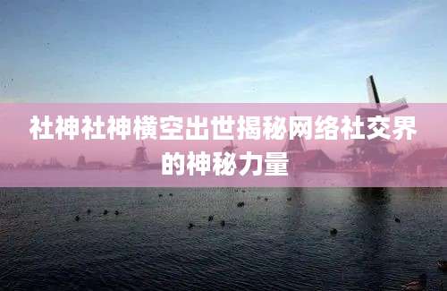 社神社神横空出世揭秘网络社交界的神秘力量