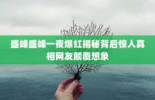 盛峰盛峰一夜爆红揭秘背后惊人真相网友颠覆想象