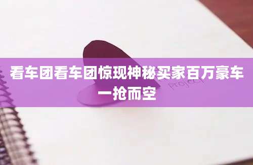 看车团看车团惊现神秘买家百万豪车一抢而空