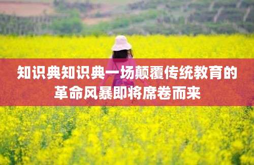 知识典知识典一场颠覆传统教育的革命风暴即将席卷而来
