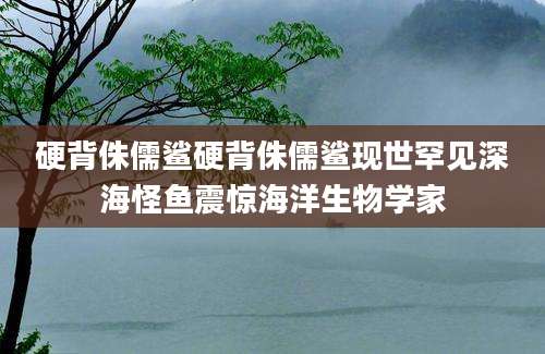 硬背侏儒鲨硬背侏儒鲨现世罕见深海怪鱼震惊海洋生物学家