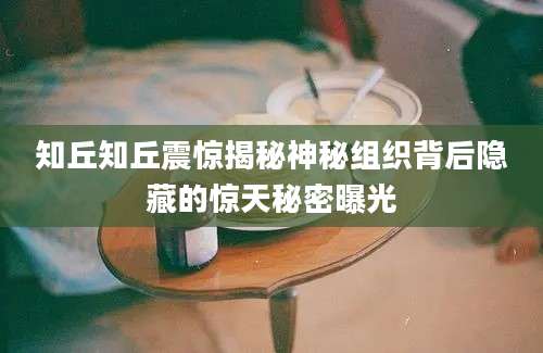知丘知丘震惊揭秘神秘组织背后隐藏的惊天秘密曝光